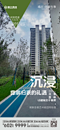 1027实景系列稿_画板 1 副本 3