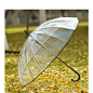 现货批发16k透明伞EVA环保伞加大加粗直杆伞双人伞专业定制广告伞