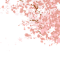 webp (2)_看图王.web(1)