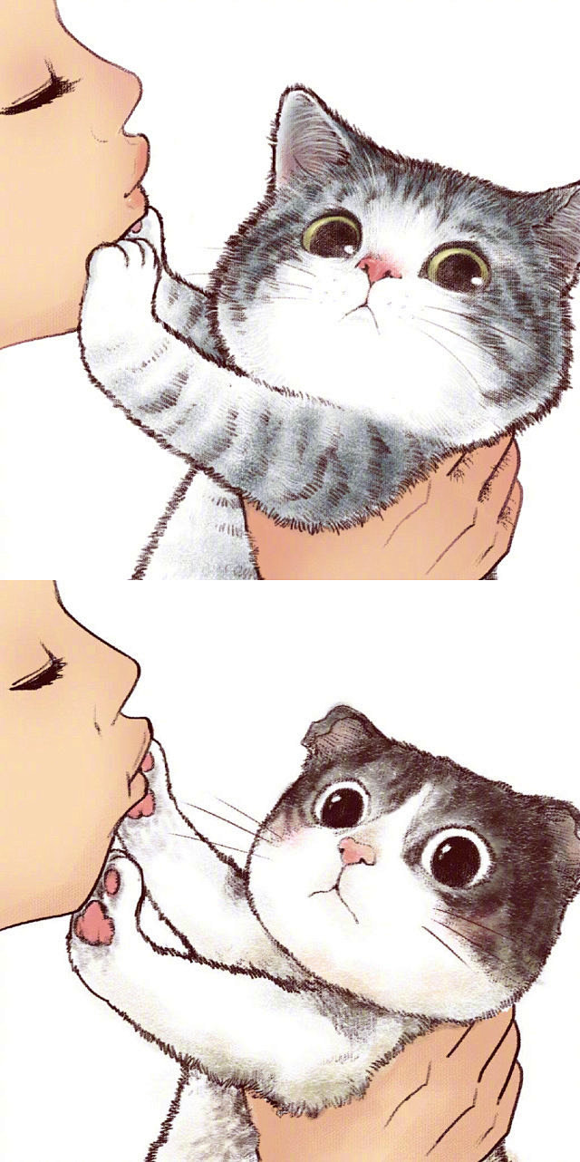 插画师笔下猫咪嫌弃表... - @每天学...