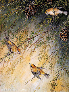 花畔花禮采集到风景油画