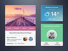 个人信息名片UI PSD | Tuyiyi.com!