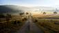 nature-landscape-trees-Bosnia-road-morning-2274580-wallhere