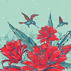 老式的名片，上面有红色的花朵蜂鸟.