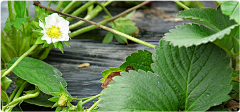 耀仔丶采集到banner 素材
