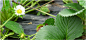 20200522-150959-dd85.png (713×332)
