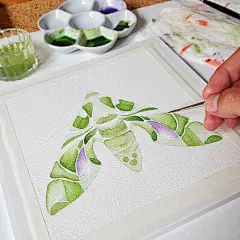 水彩昆虫插画