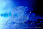 500px / Blue syndrome～Cage of winter by Lafugue Logos