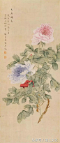 民国“花鸟圣手”谢月眉，大饱眼福