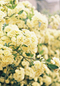          許：　TRAVEL NINE）9