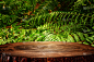 木桌前以热带绿色花卉为背景。用于产品展示和介绍