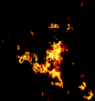Fire (48)