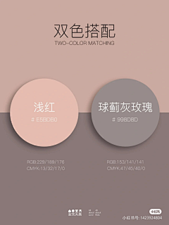 板尼鹅采集到配色