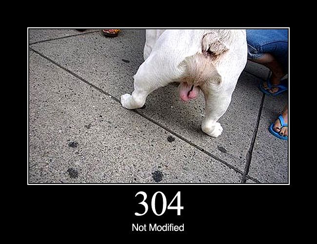 304 Not Modified: In...