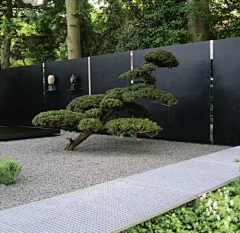 哎呦喂*采集到Z---植物/植物空间