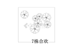教皇2H采集到植物配置