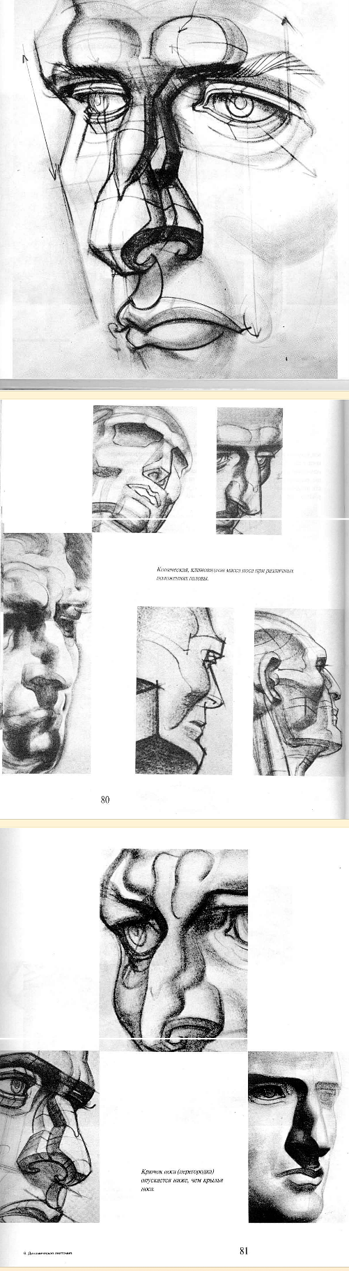 [动态素描 人体结构 动态形体绘画 艺用...