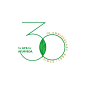 30th anniversary logo