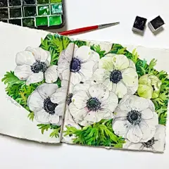 水彩--银莲花 - 高清图片，堆糖，美图壁纸兴趣社区