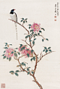 谢稚柳
