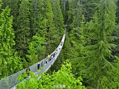 【世界最长的吊桥】加拿大温哥华的卡皮兰诺(Capilano)吊桥，距市中心10分钟的车程。这座1889年建造的吊桥，由开拓者在印尼安人的帮助下建造完成，是温哥华最古老，最吸引人的观光景点，也是世界上最长最高的步行天桥。