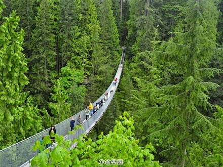 【世界最长的吊桥】加拿大温哥华的卡皮兰诺...