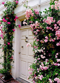 鲜花环绕的门窗 - 格架 - 开心集品