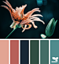 Design Seeds : Design Seeds color palettes ... posted daily for all who love color.