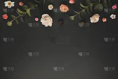 秋冬概念与干花，桉树的树枝，树叶和浆果在黑暗的背景。
