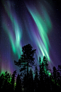 Colours of the Aurora Borealis (by The Aurora Zone)