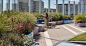 Boston Children’s Hospital Rooftop Healing Garden | Mikyoung Kim Design - Landscape Architecture, Urban Planning, Site Art