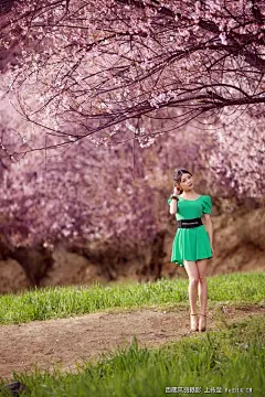 桃花眼照片-桃花眼图片-桃花眼素材