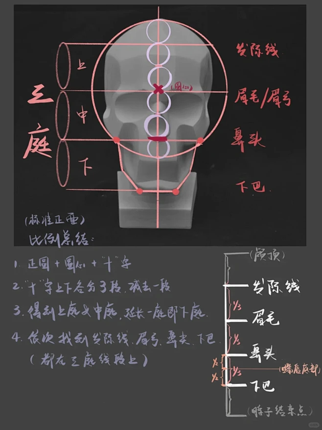 【procreate】素描基础-正面头像起型-花瓣网