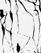 黑线背景图片大小514.2 KBpx 图片尺寸500x638 来自PNG搜索网 pngss.com 免费免扣png素材下载！玻璃#视觉艺术#裂纹#计算机字体#线条#物种#怀孕#植物#树#绘画#木本植物#黑色#树枝#白色#黑色和白色#