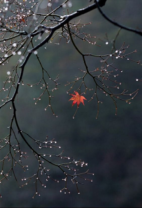 Drops..pic.twitter.c...