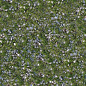 Textures   -   NATURE ELEMENTS   -  GRAVEL & PEBBLES - Pebbles with grass texture seamless 20467