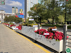 嗨皮兔采集到D 景观示意图-花坛、花箱、树池