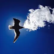 阿汤汤汤