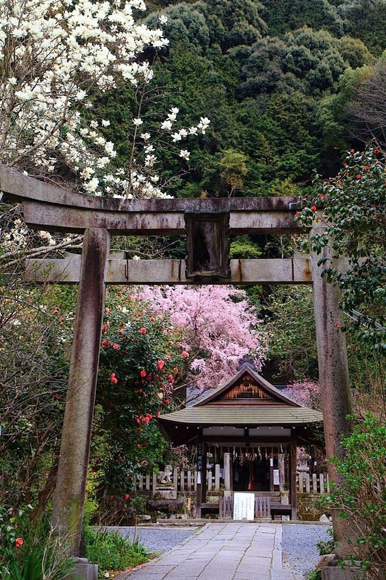 Life in Japan

