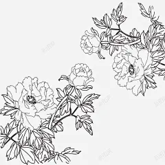 手绘牡丹花 免费下载 页面网页 平面电商 创意素材