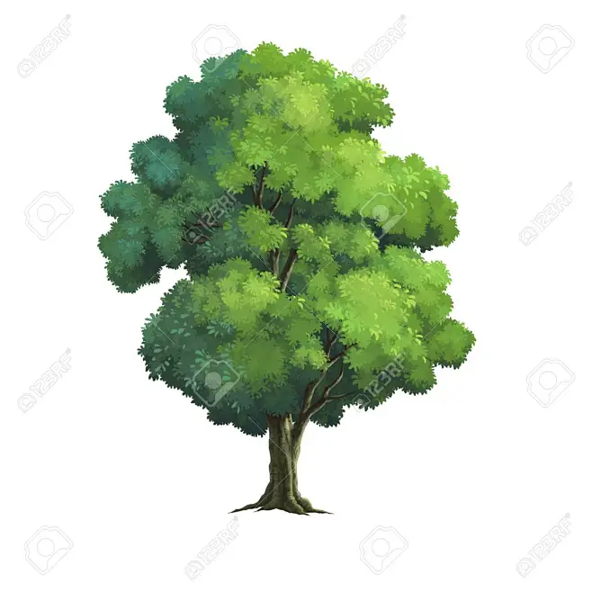 tree for cartoon isolated on white background : 123RF - Millions of ...