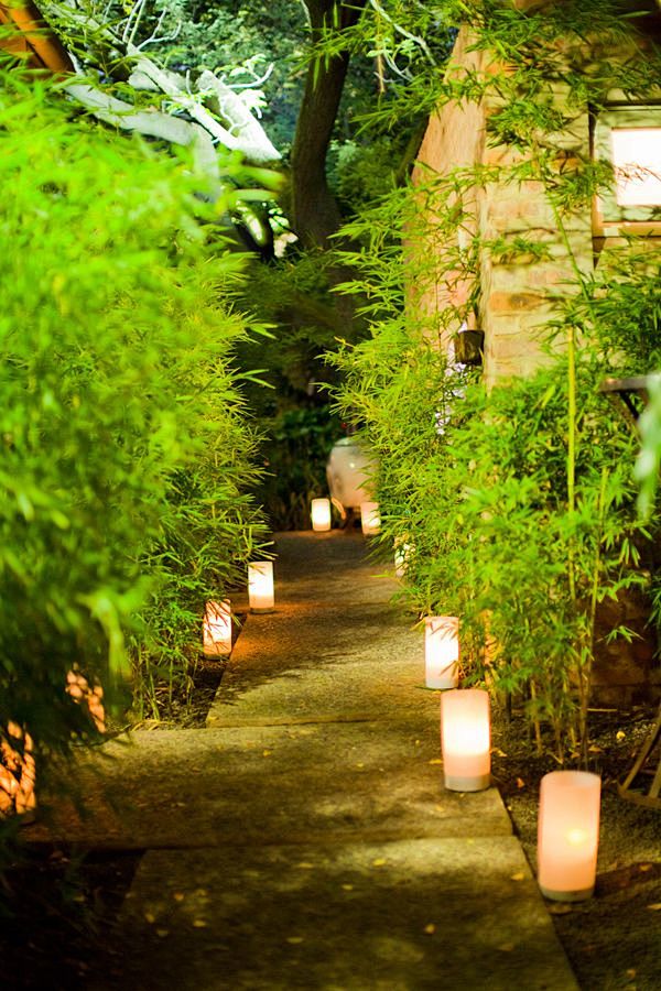 love bamboo garden.....