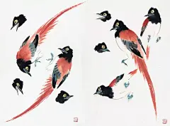萧朗在教画时的画稿（禽鸟、草虫），收藏！_画法 : 萧朗先生在长期花鸟画教学中，所掌握的花鸟画教学方法应有尽有。萧先生小写意画法的基本要领是突出一个“写”字，其每一笔都如写毛笔字那样充满了书法的神韵。他有时以墨为彩，有时以彩为墨，也有时彩墨混用，完全按实际的艺…