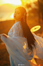 当时我醉美人家，
美人颜色娇如花。
今日美人弃我去，
青楼珠箔天之涯。
天涯娟娟姮娥月，
三五二八盈又缺。
翠眉蝉鬓生别离，
一望不见心断绝。
心断绝，
几千里？
梦中醉卧巫山云，
觉来泪滴湘江水。
湘江两岸花木深，
美人不见愁人心。
含愁更奏绿绮琴，
调高弦绝无知音。
美人兮美人，
不知为暮雨兮为朝云。
相思一夜梅花发，
忽到窗前疑是君。