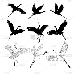 杨无音采集到矢量