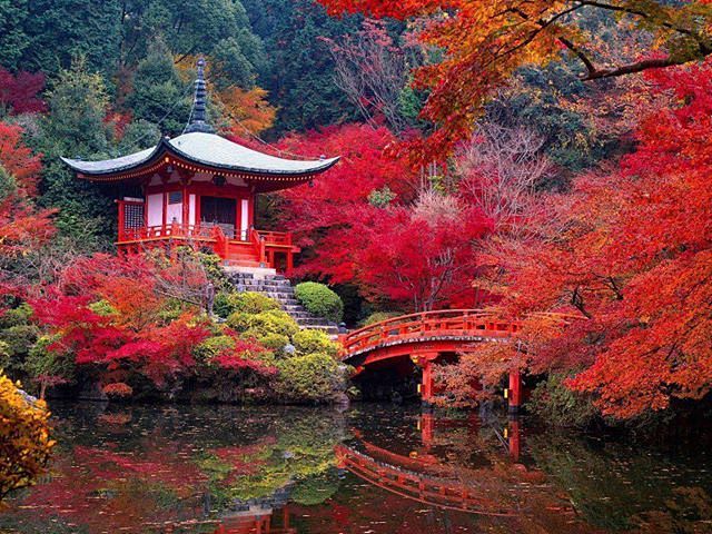 醍醐寺秋 - 日本京都