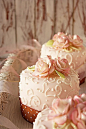 美食菜谱  粉红玫瑰蛋糕