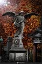 雕塑｜墓園雕塑。 ​... - @-StarWay-的微博 - 微博