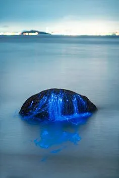 Photographed off the coast of Okayama, Japan, The Weeping Stones is a ...