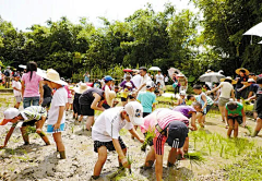 Crowd12采集到研学